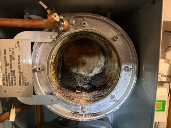 Viessmann boiler service technician performing annual maintenance and safety inspection 